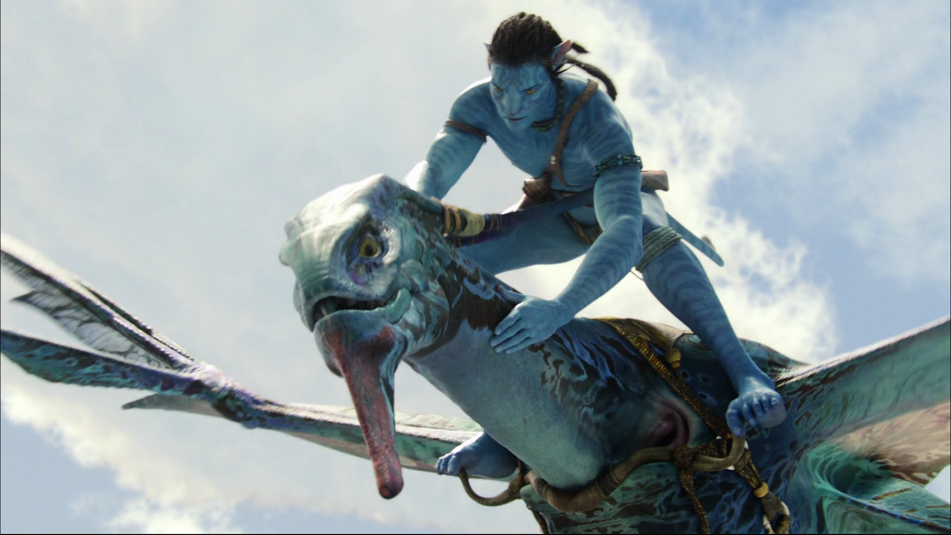 Photo from Avatar Film